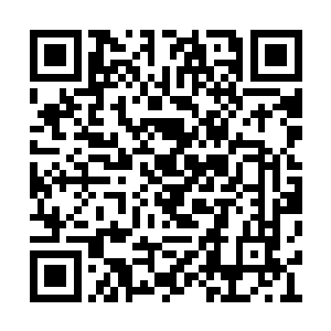 库巴大君不愧是血战魔界中最强战斗种族的首领二维码生成