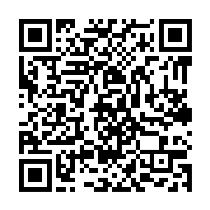 库巴大君就能通过这里的传送阵直接跳跃到深红宫殿去二维码生成