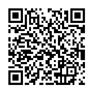 库拉斯特海港和科技斯坦丛林还是没有任何问题的二维码生成