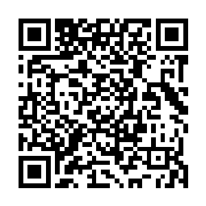 库琴斯基总统全家人都已经准备好了迎接国王陛下的到来二维码生成