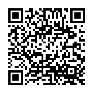 应各州刺史郡守和各个豪门家族的要求在各州郡建立飞行学院二维码生成