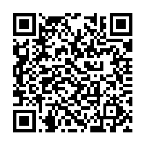 应天城有着一层防御阵将这个应天城给笼罩在其中二维码生成