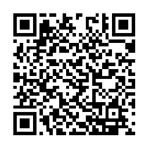 应对的计划是选择一个对我们有利的地方展开伏击二维码生成