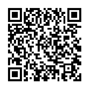应就没人可以阻挡我们猎取各自本源而崛起了吧……二维码生成