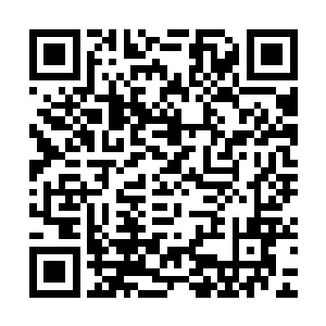 应州历史上根本没诞生过类似她这样特质……不过夫君说的也对二维码生成