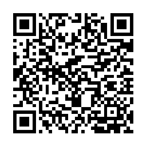 应当也是易红仙人一直拒绝向他们表明身份来历的真正缘故~二维码生成
