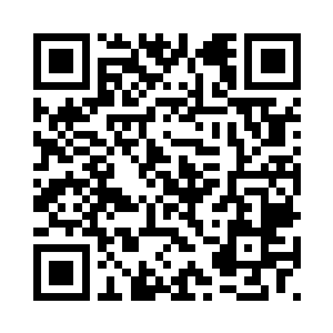 应当采取少数服从多数的决定……二维码生成