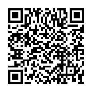 应是指上交任务奖励后就可以得到这些制式装备二维码生成