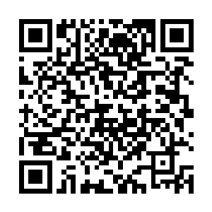 应泽天和安晓桥会以这样一种特殊的方式从公司里消失二维码生成