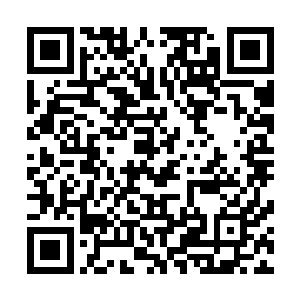 应该不会这么莽撞－－－－－lcd这个阵容的打龙速度非常快二维码生成