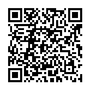 应该不是依靠自己的力量塑造出了黑杰克这个人物二维码生成