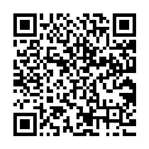 应该在军营里训练军队……而不是在宅子里过上像是养老的生活二维码生成