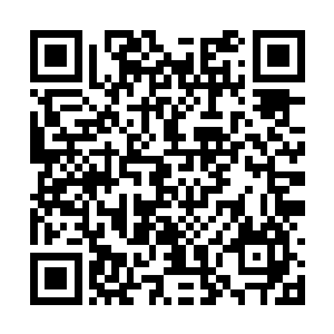 应该如何处理伏羲舰队以及这么多圣盟人的问题呢二维码生成