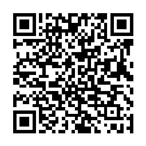 应该就属于能够自成一界空间的大乘老祖炼制的仙宝二维码生成