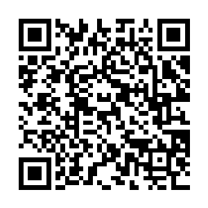 应该就是之前在那个庭院里和他们对峙的药老的那些人二维码生成