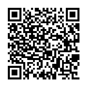 应该就是当初将好运界主提升到中等界主的能量二维码生成