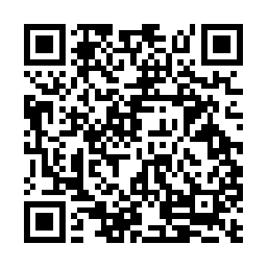 应该就是木灵们以自身的力量赋予石灵一族的助力二维码生成