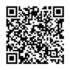 应该属于那些一直隐藏在神秘研究基地之中的专家们二维码生成