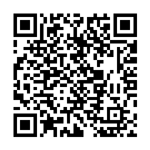 应该彤彤姐请来的京城大厨已经做了不少的美味佳肴了吧二维码生成