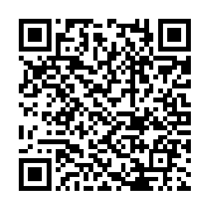 应该是一个全心全意为了我们中华民族的华侨组织二维码生成