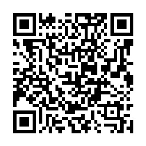 应该是从天庭到天庭大佬再到下面的各种势力都有二维码生成