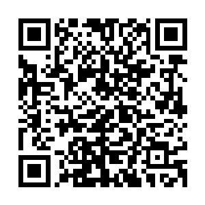 应该是使不出什么力气了……不过她似乎并不会什么武艺啊……二维码生成