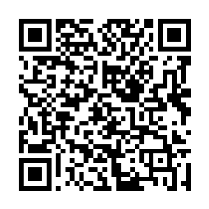 应该是动物类的……刚才那一声类似于牛叫的声响二维码生成