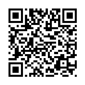 应该是和这次行动有关的详细资料二维码生成