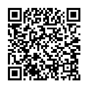 应该是处理整个三区信息的数据采集装置被毁了二维码生成