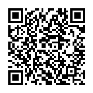 应该是夏桀已经知道了他在坊市中开的万宝店被毁掉了二维码生成