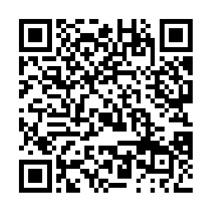 应该是她的姐妹吧……梓箐脑海中浮现出一个记忆片段二维码生成