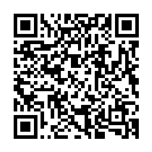 应该是小秋拉着我从房间里出来之后白奇雪马上就跟着跑出来了二维码生成