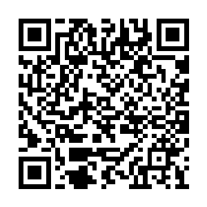 应该是有人出了高价绑架她要毁掉她的精神中枢二维码生成