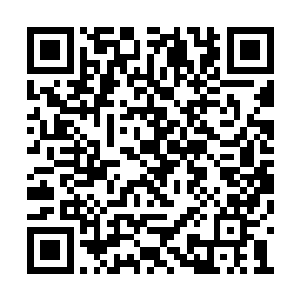应该是有着其他所有国内导演都没有的雄浑底气二维码生成