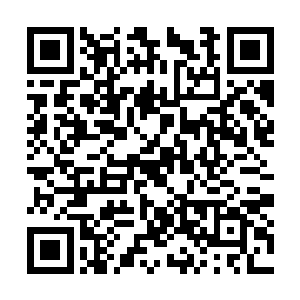 应该是费南和其他次级位面的自行衍生出来的生物二维码生成