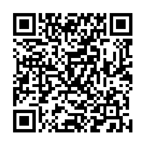 应该是金刀门的人掌握了什么快速找到魔丸宗之人的办法二维码生成