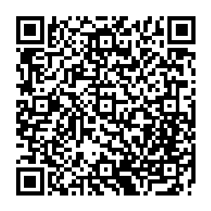应该更久一些··有个人类跟我聊天的时候似乎提过一句··什么排名有要重新再来来着···二维码生成