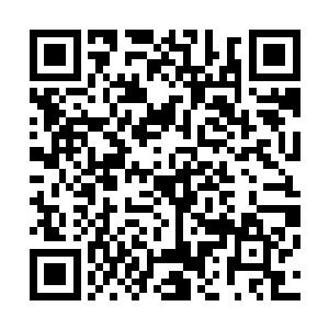 应该来说他们在二十四小时内就会被人枪分离遣送回普吉岛二维码生成