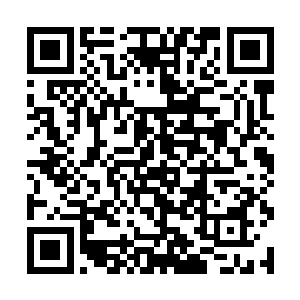 应该正是被龙族的不传之秘五爪金龙的第五爪造成的二维码生成