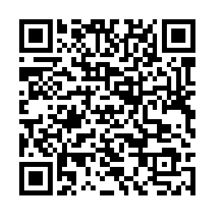 应该用不了多少时间就能把这极乐之地搜刮一空了二维码生成