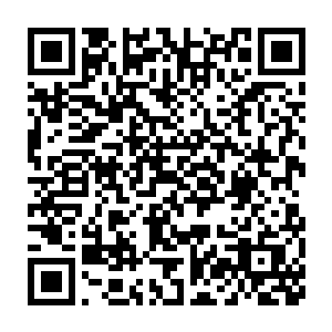 应该能继承那个位置……结果……上面空降了一个化灵中期的统领二维码生成