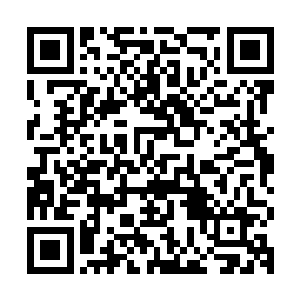 应该说像这样一次大型的会议也是大家交流思想联络感情的时候二维码生成