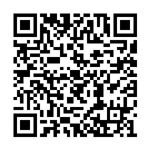 应该说向文东的意见在目前这种状况下是务实的二维码生成