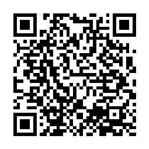 应该说白兰变成好人了才会吓得小伙伴们眼镜都碎一地吧二维码生成