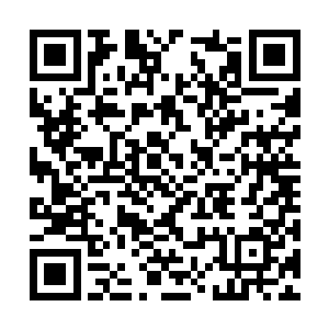 应该说自己在舒雅心目中留下了一个比较好的印象二维码生成