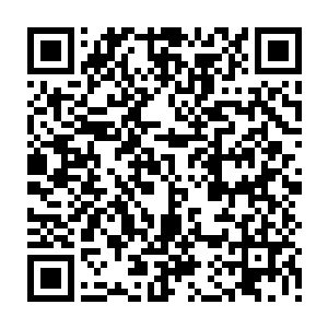 应该都早已死了陨灭了才是……而且还是早已死了不止是几万年的那种……二维码生成