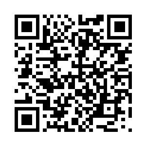 应该都是记载了界门和消失的大陆的信息二维码生成