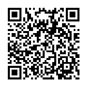 应该隐藏了不少的信息才心思一动买下来的产物二维码生成