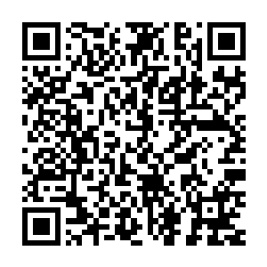 应龙鼎当中瞬间就是翻涌起一条火焰巨龙然后朝着那道黑影冲了过去二维码生成