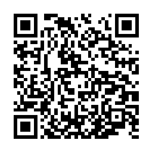底下叫好声一大片他们都用着狂热的眼神看着叶凡二维码生成